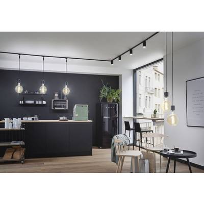 Modern kitchen with black cabinets and wooden accents, pendant lights and plants; window offers view of urban surroundings.