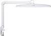 Maul MAULexplore 8205602 LED desk light LED (monochrome) Bulb to be changed by qualified electrician 19 W EEC: D (A - G) White