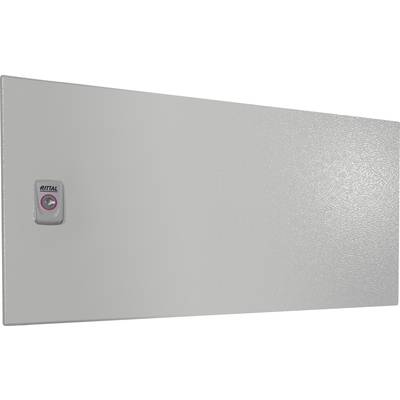 Grey, rectangular metal cabinet door with a small handle on the left side. The handle bears the 'Rittal' logo.