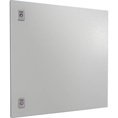 Rectangular grey metal cover with two latches on the left side, each bearing the inscription 'RITTAL'.