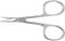 Silver nail scissors with rounded handles and sharp, slightly curved blades lie flat on a white background.