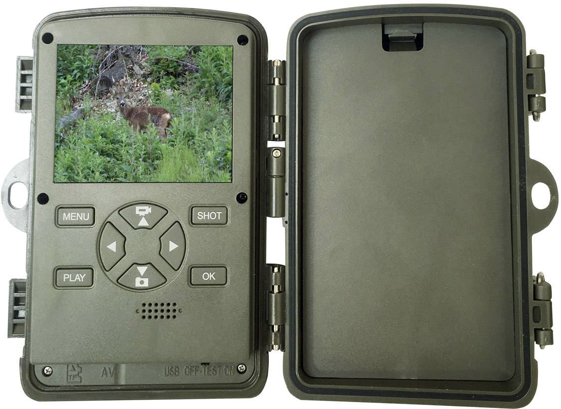 Wildlife camera with open casing displays an image of a deer in the forest on its display. Operating buttons are visible underneath.