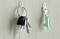 A bunch of keys hangs on a hook on the left. On the right, a single key with a green keyring is hanging.