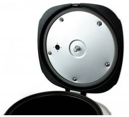 Opened lid of a modern cooking appliance, revealing the internal mechanism and metal casing.