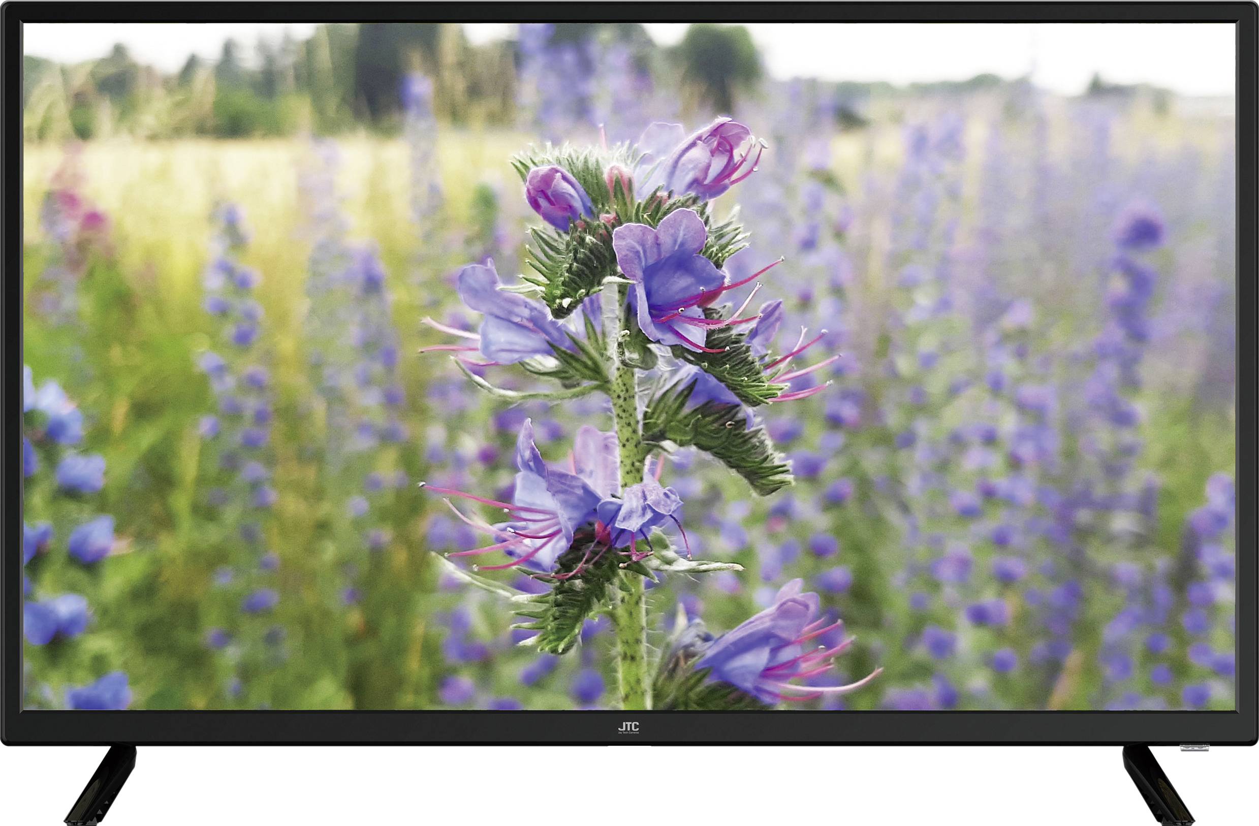 JTC S32H5112J LED TV 80 cm 31.5 inch EEC A+ (A+++ - D) DVB-T2, DVB-C, DVB-S, HD ready, Smart TV, Wi-Fi, CI+ Black