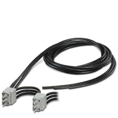 A black power cable with two connectors at one end, coiled on a white background.