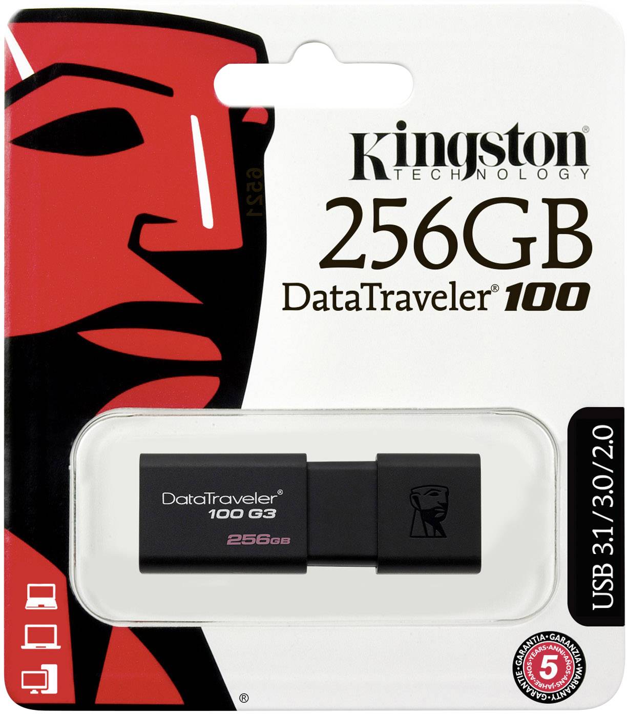 Kingston USB flash drive with 256 GB storage capacity, packaged. Model: DataTraveler 100. Supports USB 3.1/3.0/2.0.