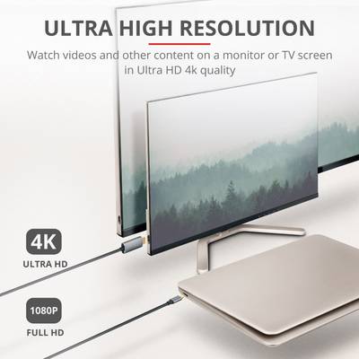 'Display of a monitor with a forest image in high resolution, emphasising Ultra HD 4K performance compared to 1080p Full HD.'