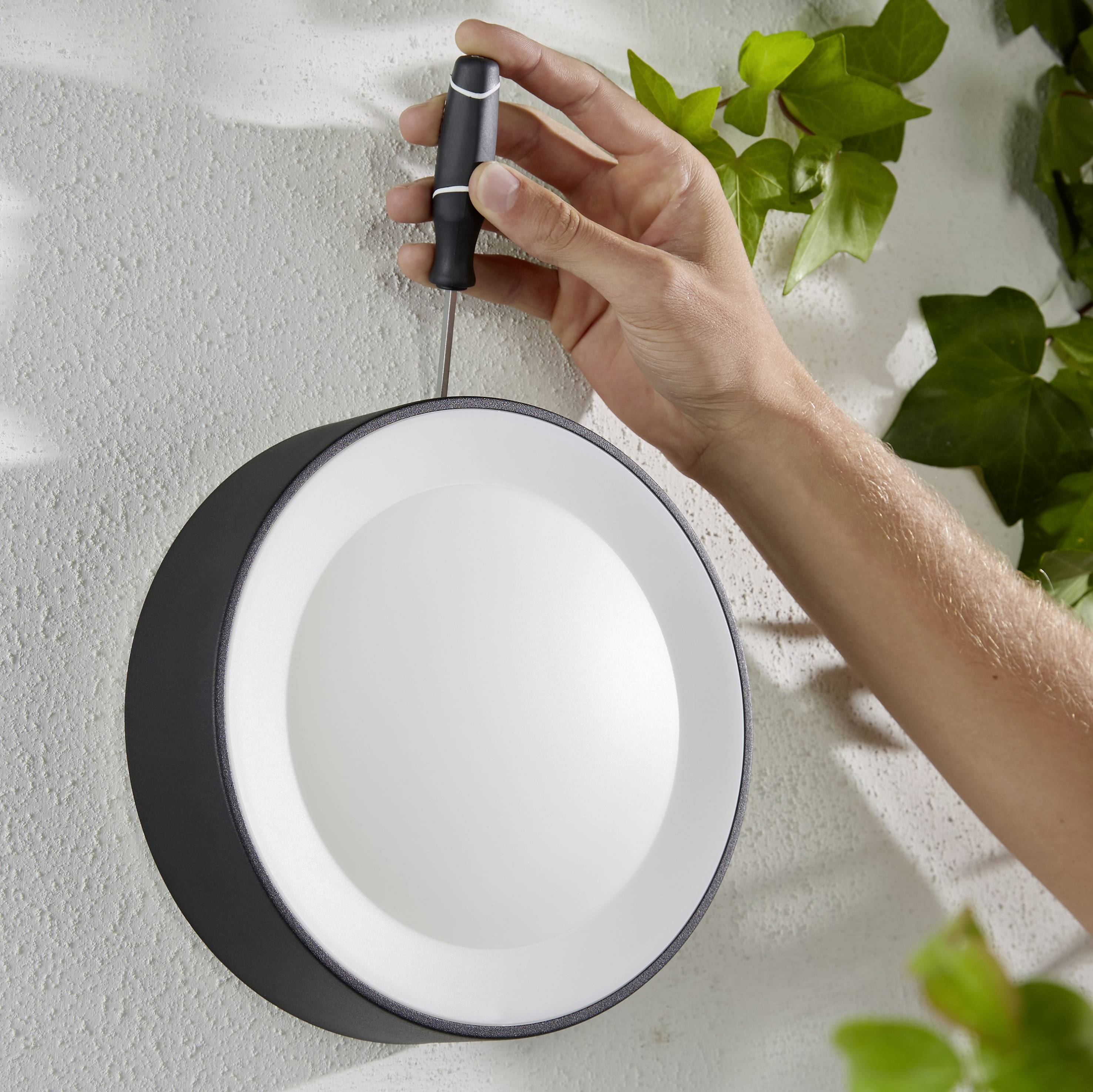 A hand holds a screwdriver to mount a round wall light, surrounded by green leaves.