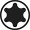 'Screw head with a six-pointed star shape, bordered by a circle, likely a Torx screw head symbol used for tools.'