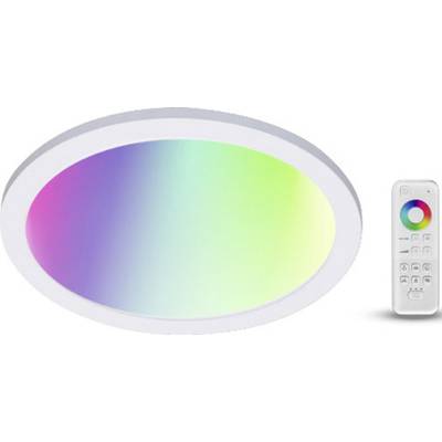 Oval LED ceiling light with rainbow colours and remote control for adjusting the light colour.