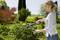 A woman in a striped top is cutting a bush with large garden shears in a sunny garden. Trees are visible in the background.