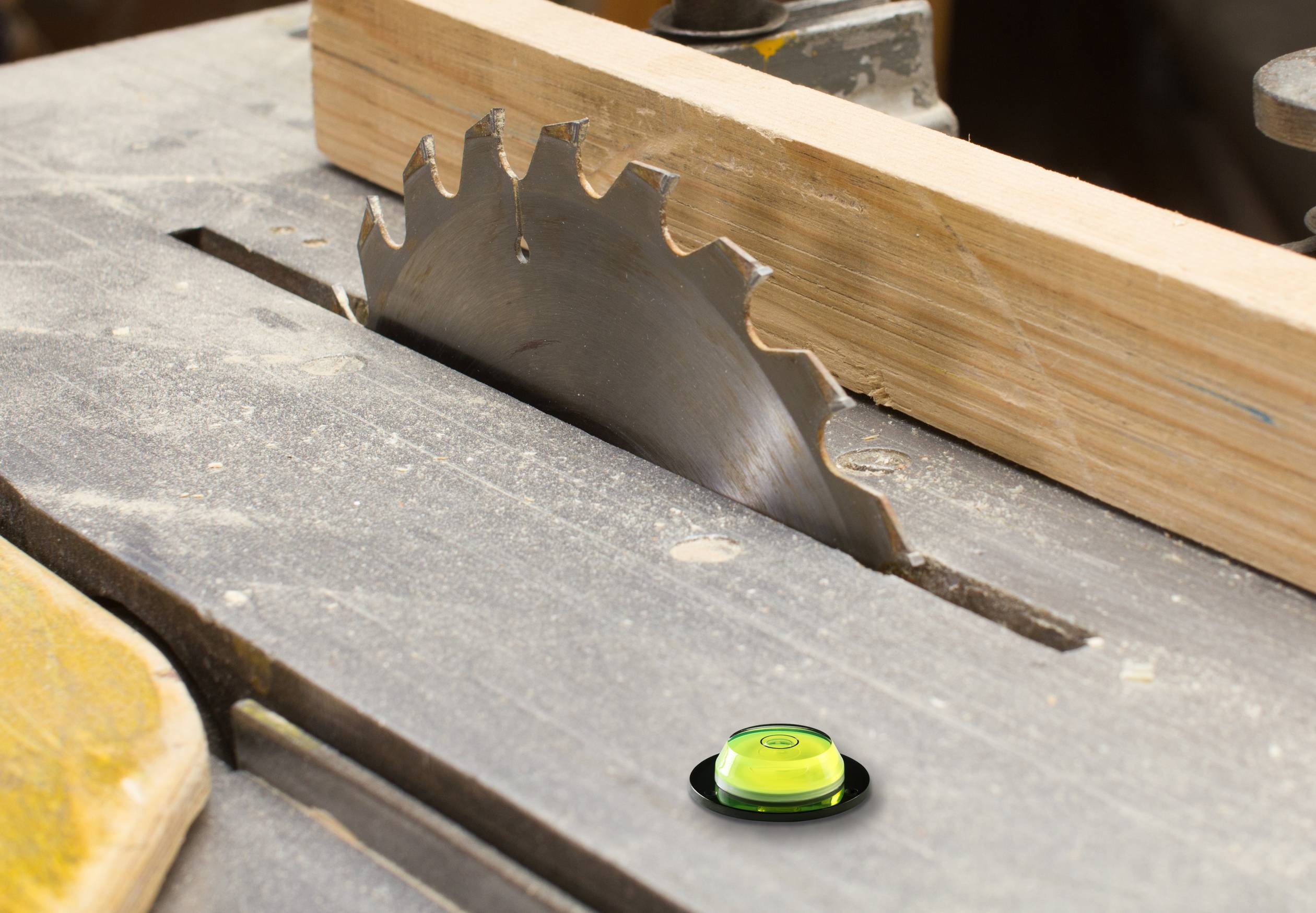 'Circular saw blade mounted on a table, with green emergency stop switch in the foreground.'