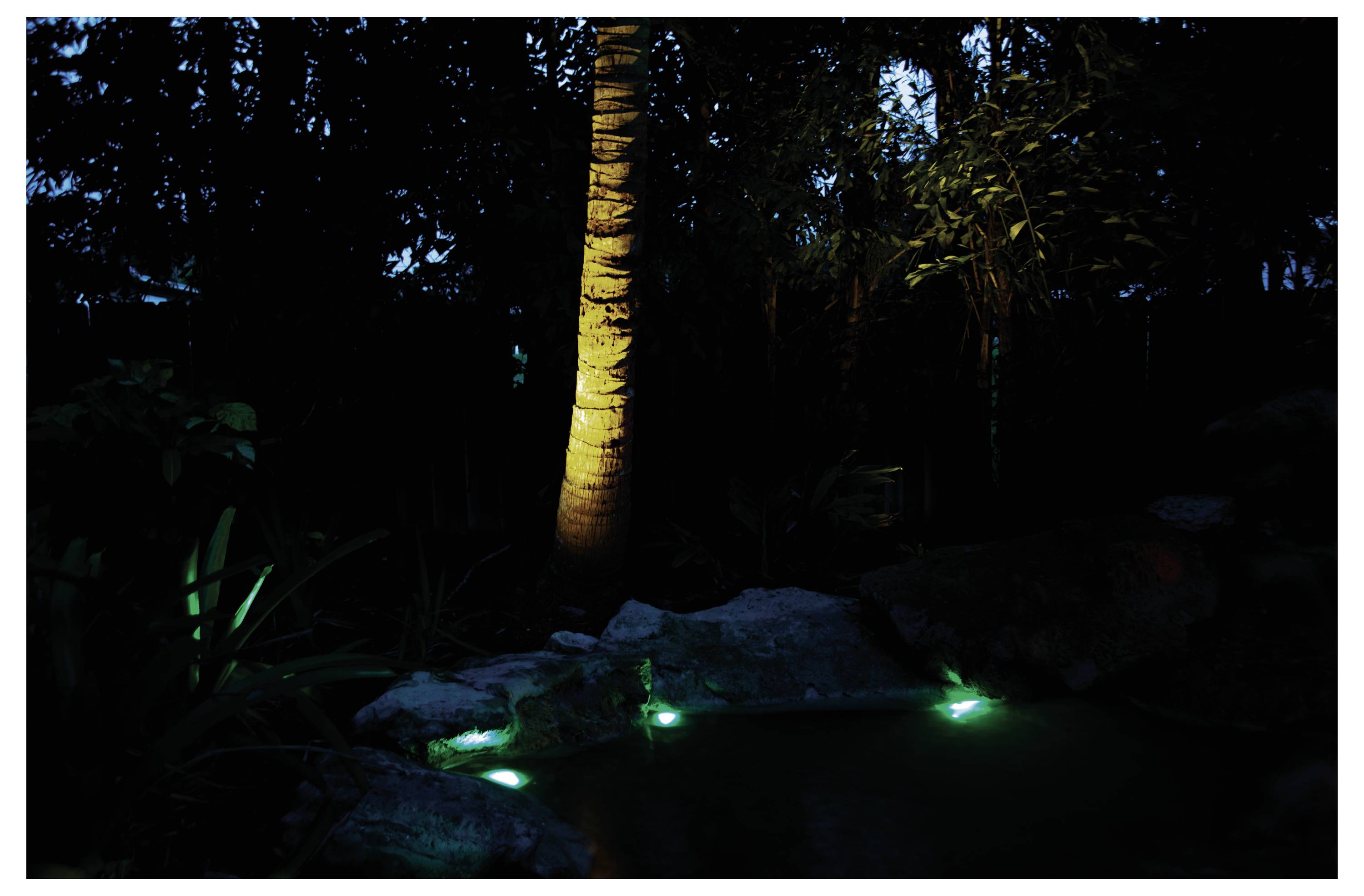 A waterfall in the woodland, stylishly illuminated with blue light, cascades over rocks. An illuminated palm tree in the background complements the scenery.