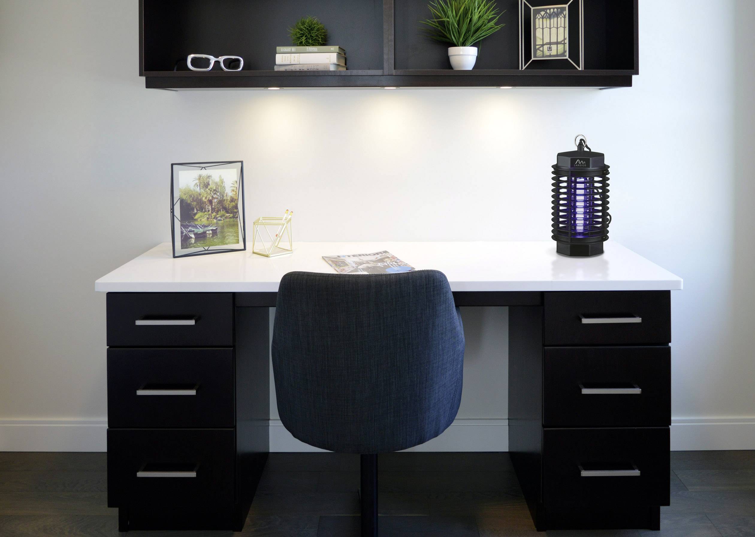 Desk with lamp, framed photograph and plants, dark drawers, blue chair.