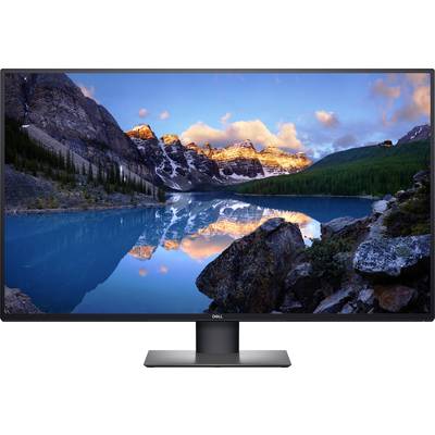 Dell UltraSharp U4320Q LCD 108 cm (42.5 inch) EEC A (A+++ – D) 3840 x 2160 p UHD 2160p (4K) 5 ms DisplayPort, HDMI™, USB3.1 (Gen 1), USB-C™, Audio line out IPS