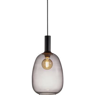 A contemporary pendant light with a clear glass dome and visible filament, hanging from the ceiling.