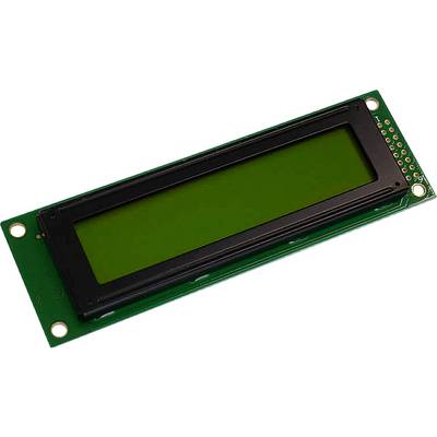 Green LCD display module with slim, rectangular screen and mounting holes at the corners.