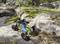 A remote-controlled car drives across a rocky, moss-covered terrain. It has a blue-green pattern and large tyres.