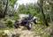 A remote-controlled car drives along a rocky forest path, surrounded by trees and bushes, beneath a clear sky.