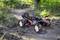 A remote-controlled car speeds along a narrow woodland path. The surroundings are densely covered with lush green vegetation.