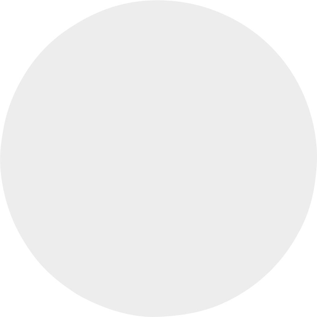 A simple, grey circle on a white background, without any further details or decorations.