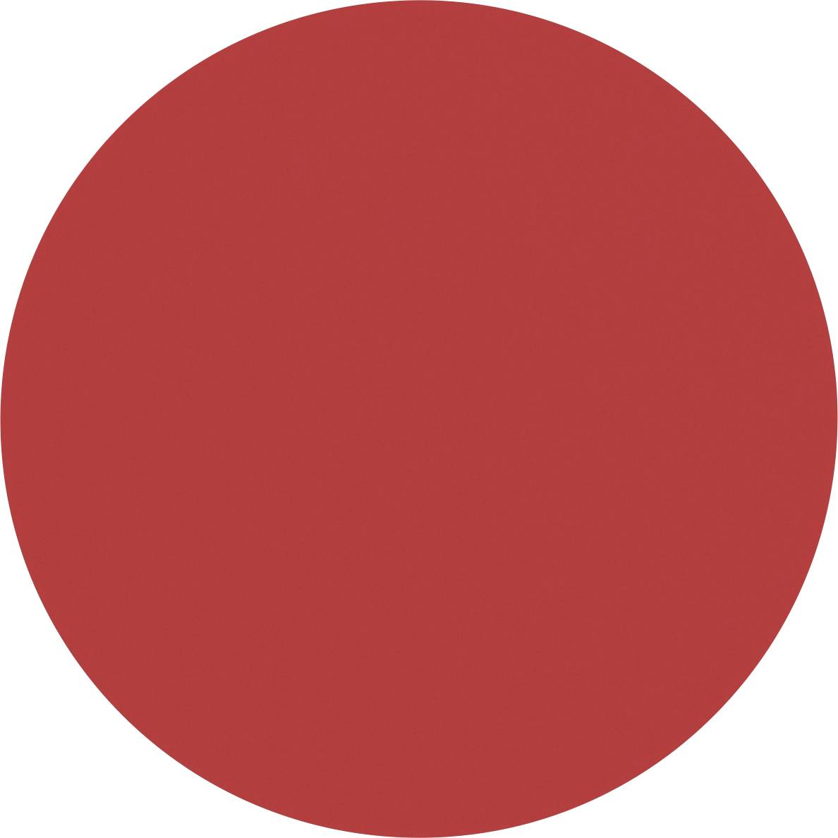 Red circle on white background.