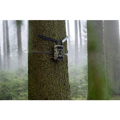 DÖRR SnapShot Cloud 4G Wildlife camera 12 MP 4G image transmission, Black LEDs, Time lapse video, GSM-1