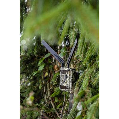 DÖRR SnapShot Cloud 4G Wildlife camera 12 MP 4G image transmission, Black LEDs, Time lapse video, GSM-2