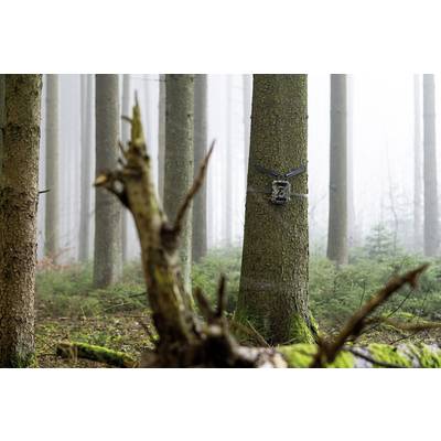 DÖRR SnapShot Cloud 4G Wildlife camera 12 MP 4G image transmission, Black LEDs, Time lapse video, GSM-3