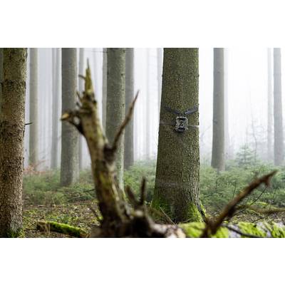 DÖRR SnapShot Cloud 4G Wildlife camera 12 MP 4G image transmission, Black LEDs, Time lapse video, GSM-4