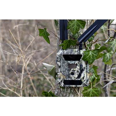 DÖRR SnapShot Cloud 4G Wildlife camera 12 MP 4G image transmission, Black LEDs, Time lapse video, GSM-7