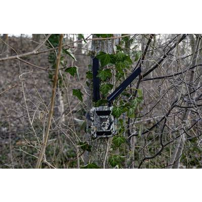 DÖRR SnapShot Cloud 4G Wildlife camera 12 MP 4G image transmission, Black LEDs, Time lapse video, GSM-9