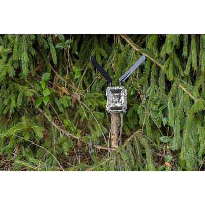 DÖRR SnapShot Cloud 4G Wildlife camera 12 MP 4G image transmission, Black LEDs, Time lapse video, GSM-10