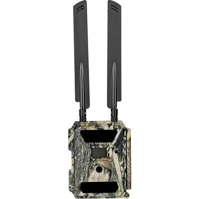 DÖRR SnapShot Cloud 4G Wildlife camera 12 MP 4G image transmission, Black LEDs, Time lapse video, GSM-15