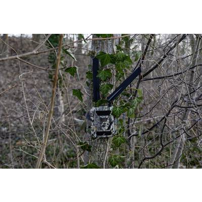 DÖRR SnapShot Cloud 4G Wildlife camera 12 MP 4G image transmission, Black LEDs, Time lapse video, GSM-24