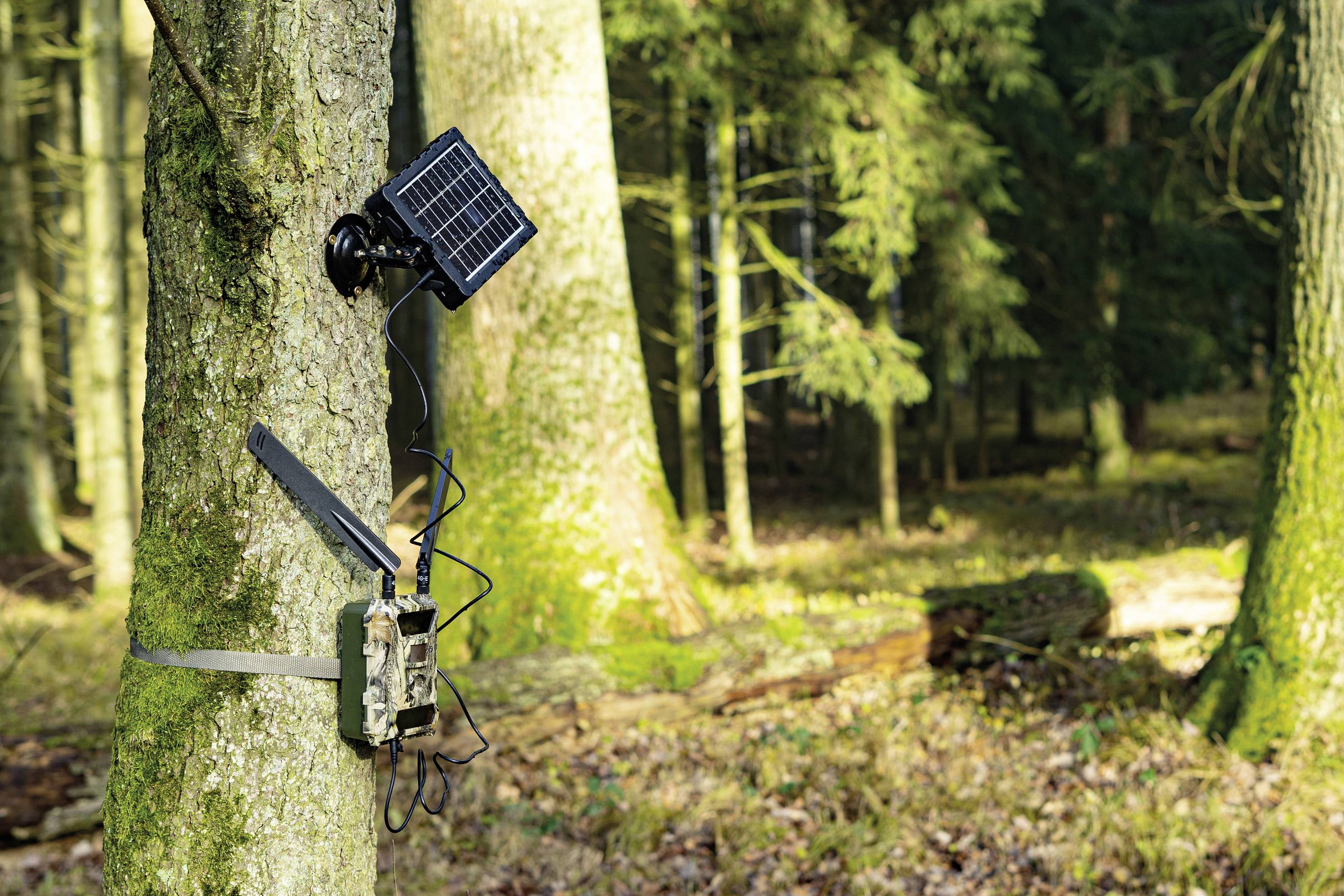 DÖRR SP-1500 12V Solar panel-1