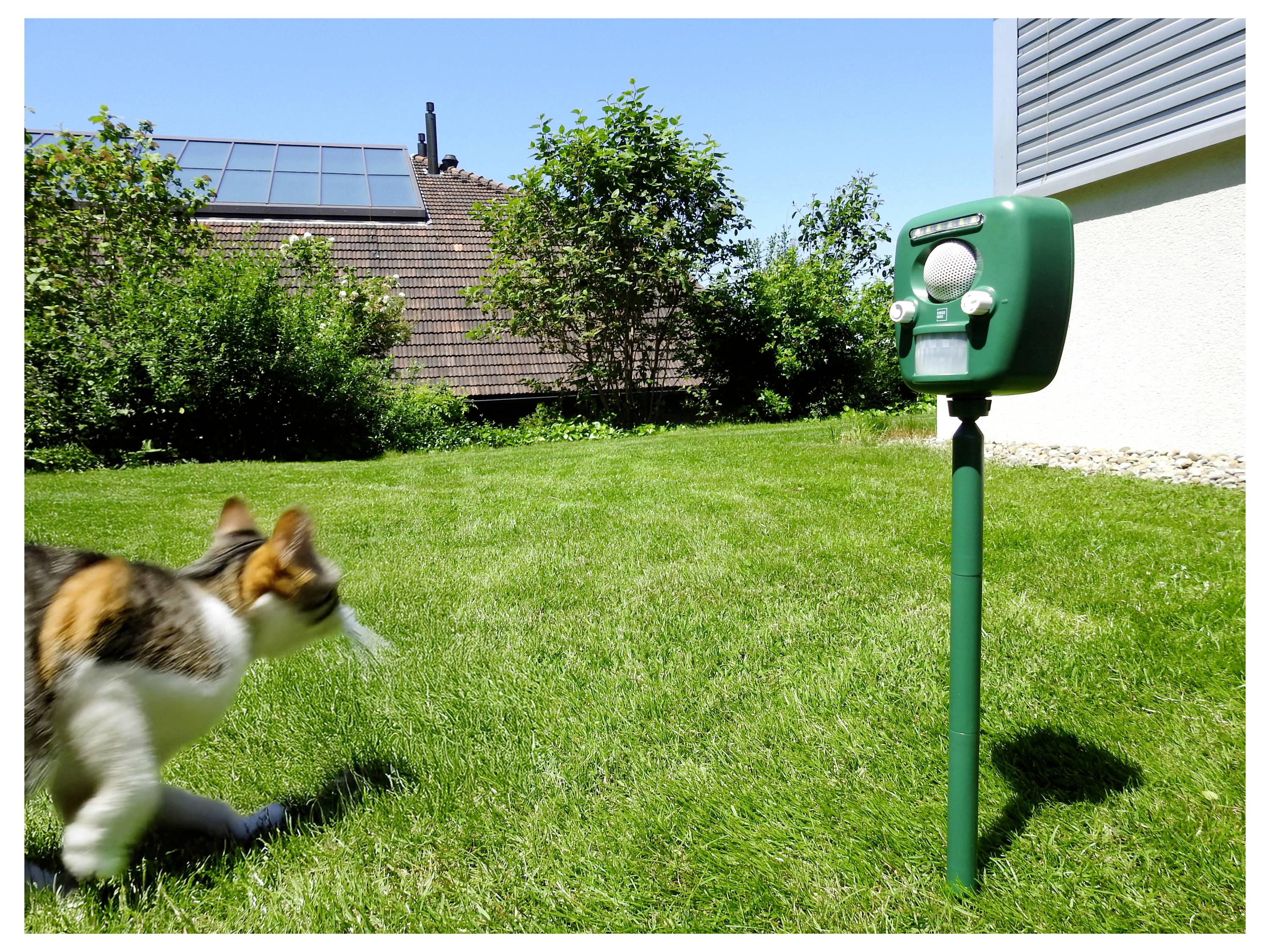 A cat runs across a grassy backyard, moving away from a green electronic garden device. Bushes and a house with solar panels are in the background.