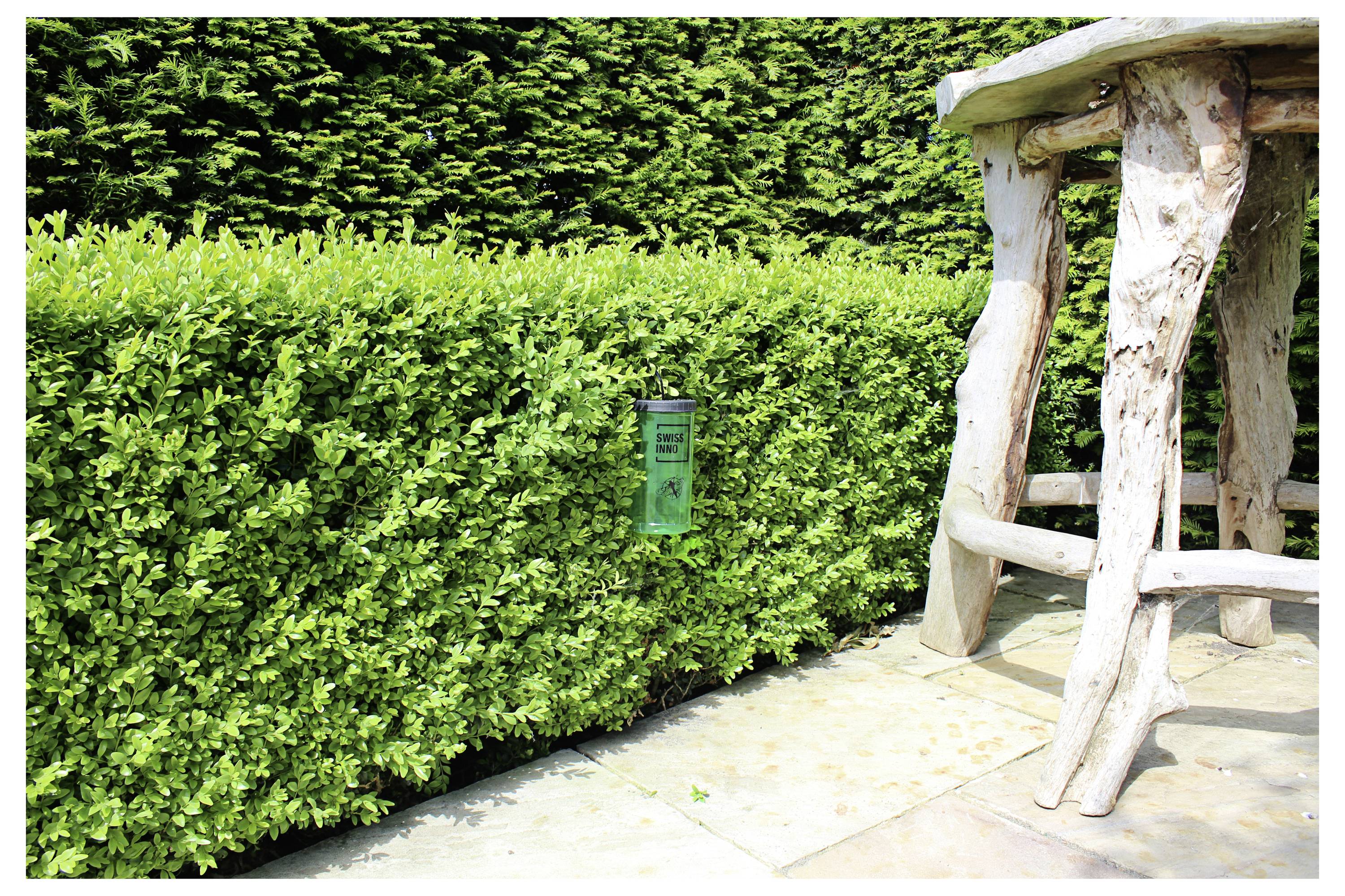 A hedgerow with a bug trap next to a rustic wooden bench on a stone patio, set against a backdrop of lush greenery.