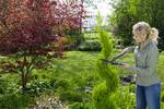 Gardena PrecisionCut hedge trimmer, 12302-20