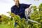 A man in the garden is trimming a hedge with large shears. He is wearing a checked shirt and smiling in sunny weather.