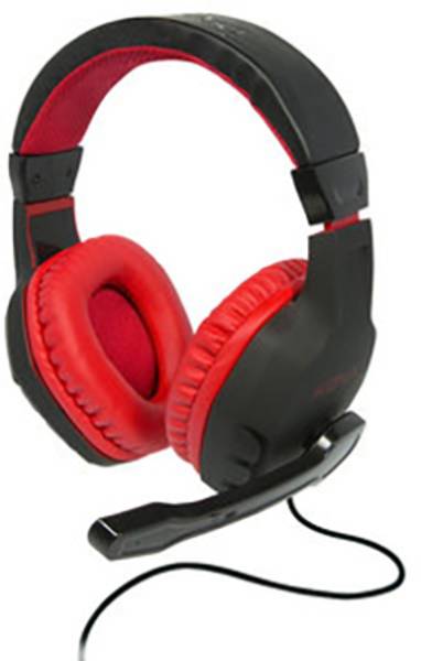 rc car with headset