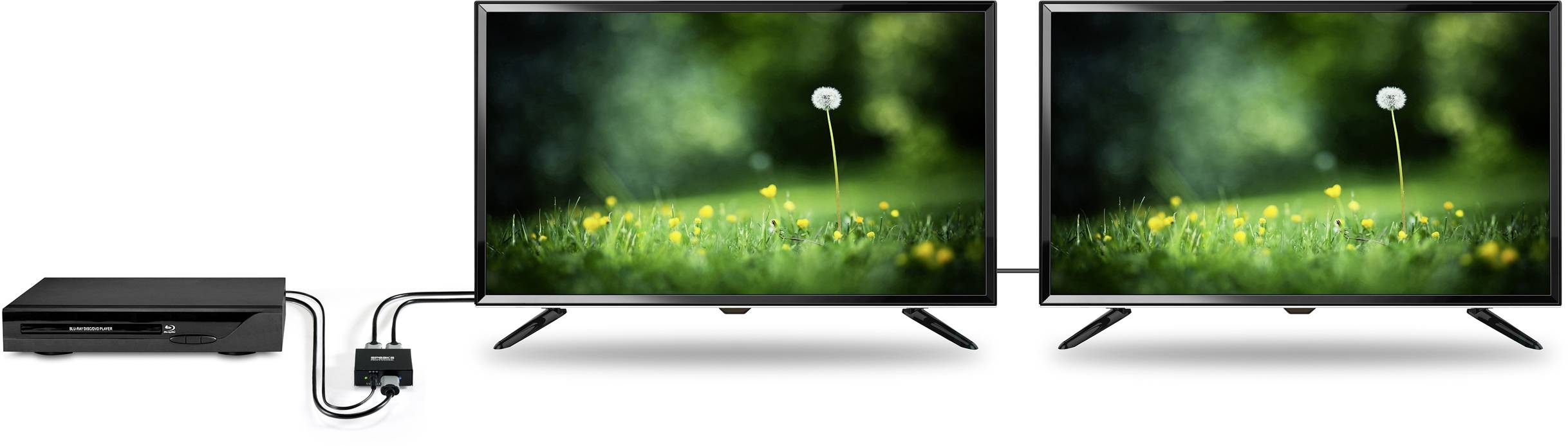 Two identical monitors display a close-up of dandelions and grass. The monitors are connected to a device via a splitter.