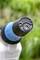 Close-up of a drill with a blue handle, focusing on the end of the drill bit. Blurred green background.