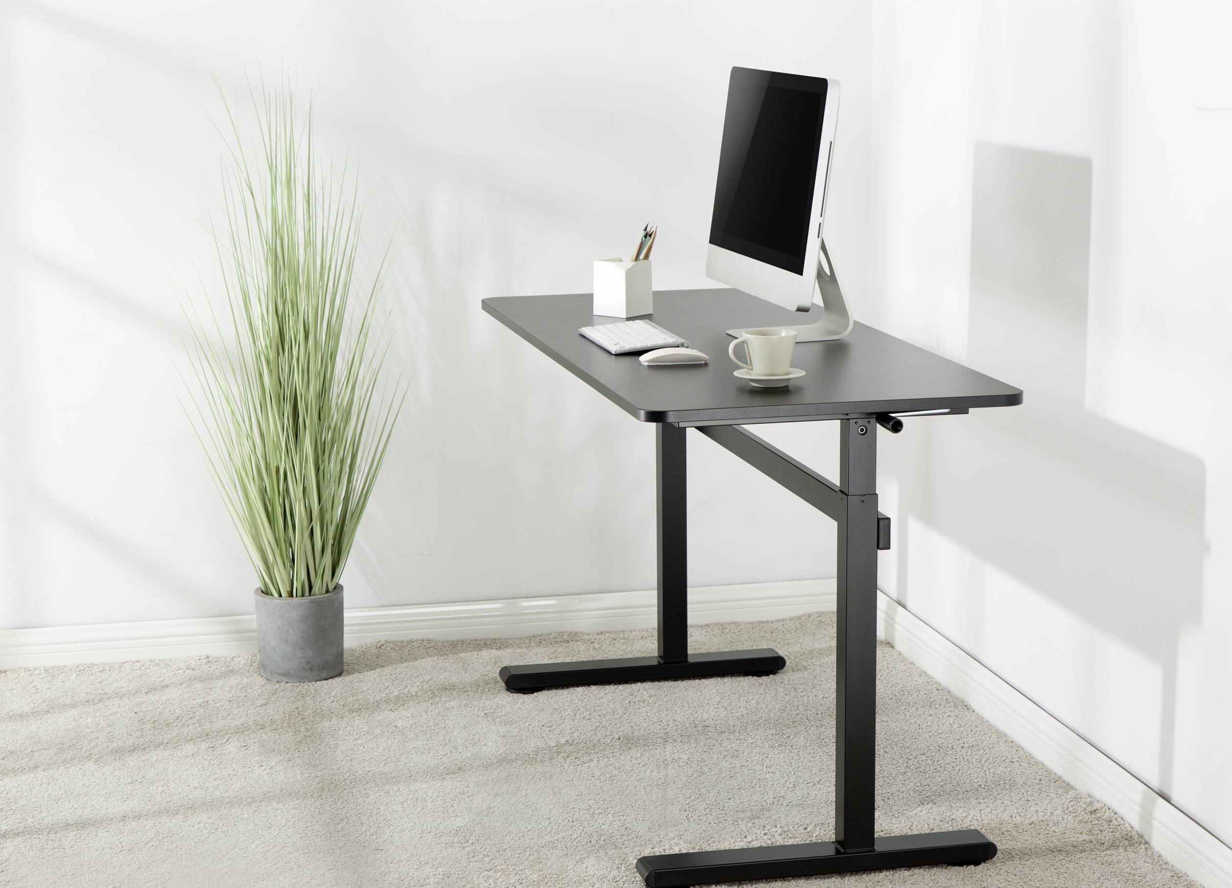A modern desk with a computer, a mouse and a book. To the right stands a tall green plant in a grey pot.