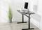A modern desk with a computer, a mouse and a book. To the right stands a tall green plant in a grey pot.