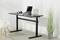 An adjustable height desk with a laptop, headphones and a mug, with a green plant standing beside it on the floor.