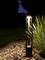 A square outdoor light illuminates a garden path of pebbles at night, surrounded by tall grasses.