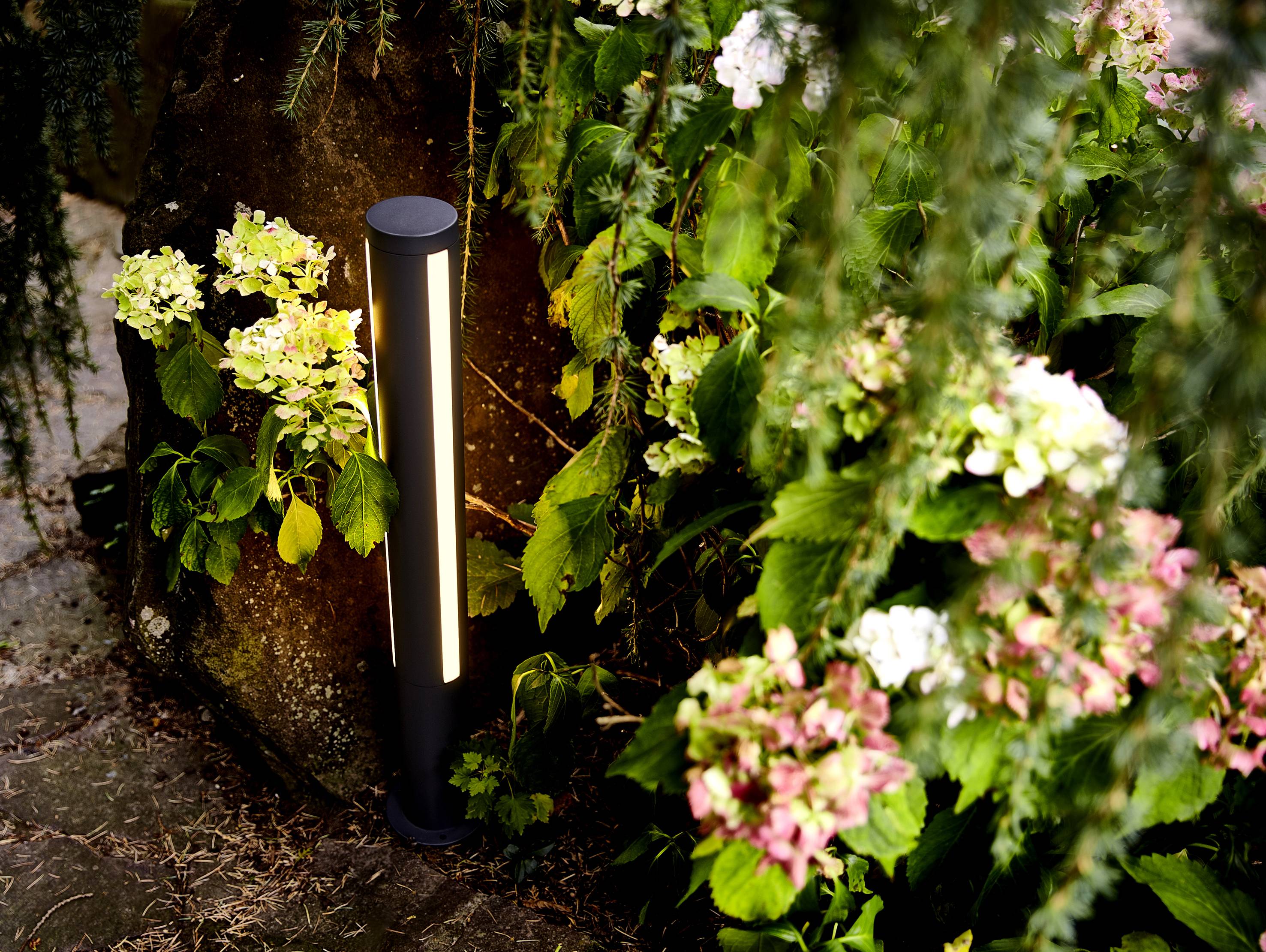 A modern garden lamp shines between colourful hydrangeas in front of a rustic stone.