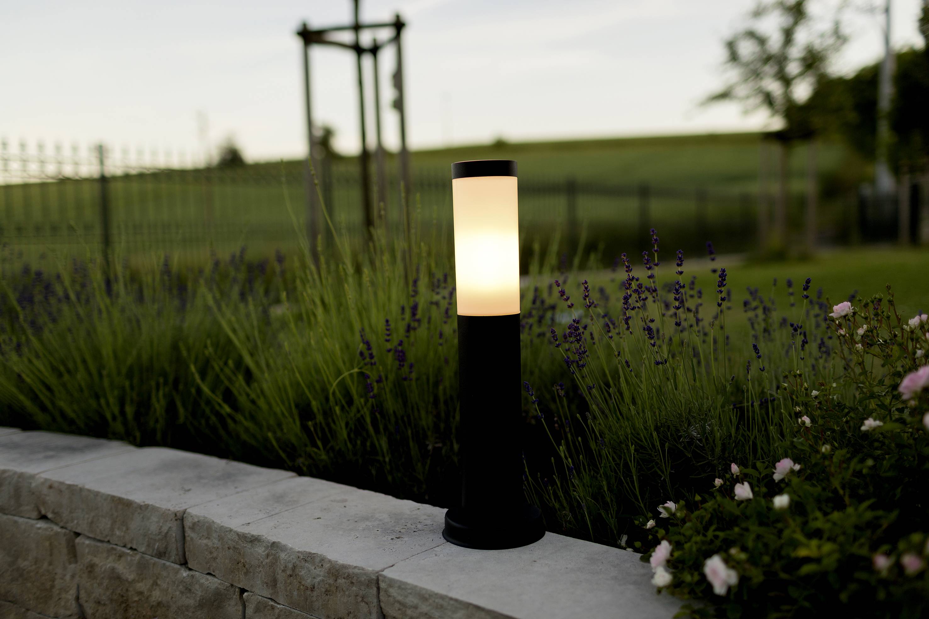 Garden landscape at twilight with illuminated pathway light on a stone wall, surrounded by lavender and meadow in the background.
